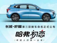 哈弗初戀細節超出色，網友：相見恨晚！