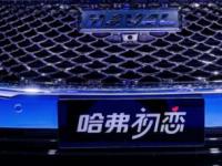 設計感爆棚的哈弗初戀 誰招架的住？