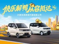 奇瑞2025款冰淇淋甜蜜上市，1.69萬起，太超值！